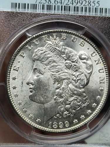 1899年 モルガン・ダラー (Vam-6A)*オープン＆クローズド9インチ*ピットドDO*PCGS MS-64