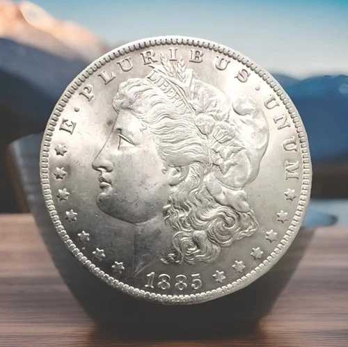 1885年- 1ドルモルガン銀貨チョイスBUルックスジェム