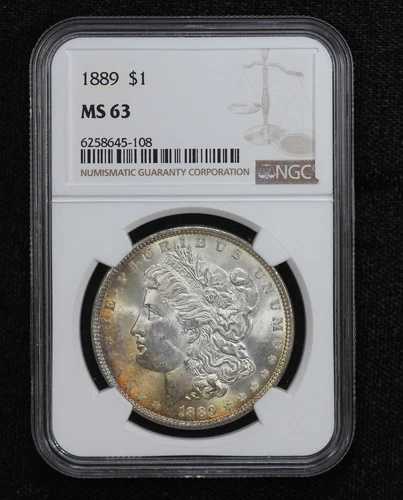 1889年 モルガン・ダラー トーン NGC MS63 1WQP