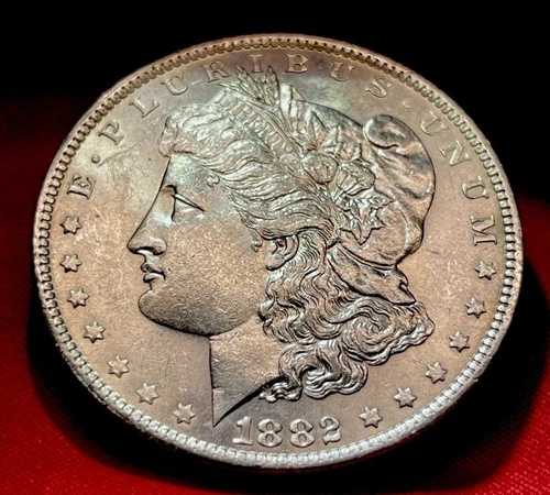 1882年 O モルガン シルバー ダラー 1ドル ブリリアント アンサーキュレート BU DMPL|WORLD RESOURCE【QUEEN店】