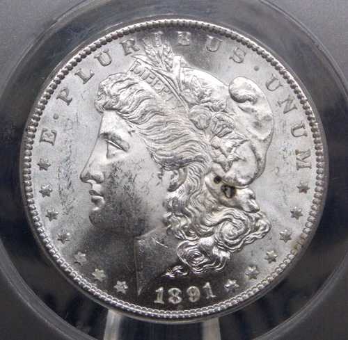 1891 年 \