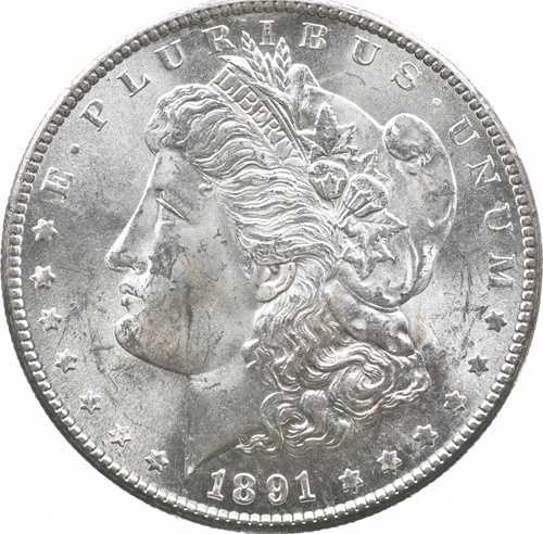 1891-S モルガン銀貨 *2848｜WORLD RESOURCE【QUEEN店】 88,330円