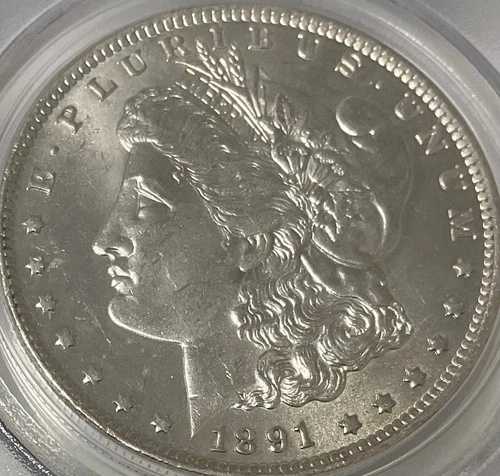 1891年CCモルガン・ダラー - スピットイング・イーグル PCGS MS62