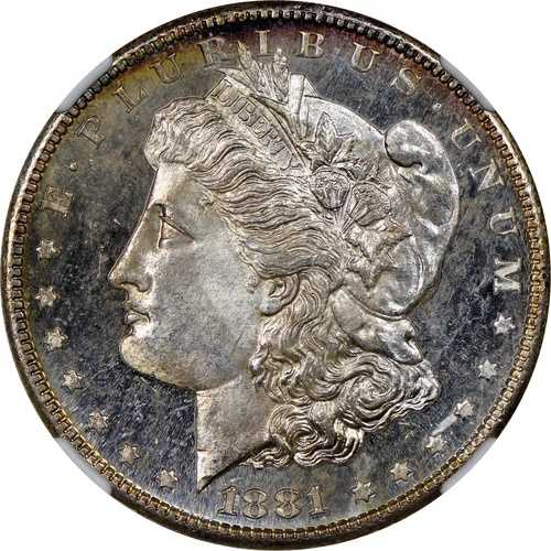1881-S 1ドル モルガン・ダラー NGC MS65 DPL - 見事な輝きを放つ深みのある鏡面仕上げのフロスティ・ジェム｜WORLD RESOURCE【QUEEN店】