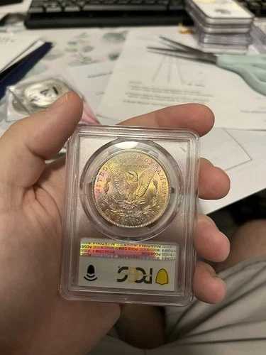 1885-O PCGS MS64 トーンリバース｜WORLD RESOURCE【QUEEN店】 246,400円