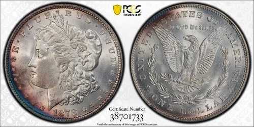1878年 P モルガン銀貨 PCGS MS-65 7/8TF 強力