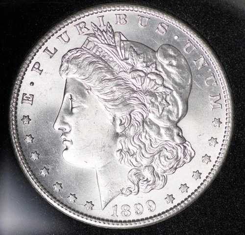 1899-S モルガン銀貨、チョイス未流通 (0005)｜WORLD RESOURCE【QUEEN店】 244,035円
