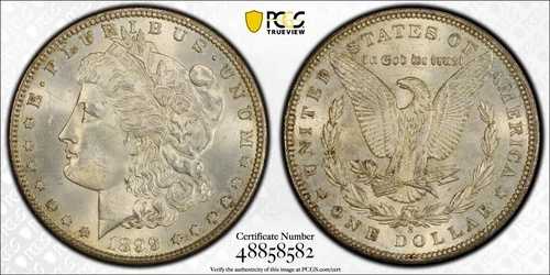 1899年 S モーガン銀貨 PCGS MS64
