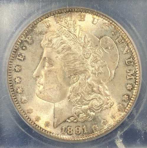 1891-S モルガン銀貨 1ドル 1.00ドル ICG MS66。表面はナチュラル。 423,720円