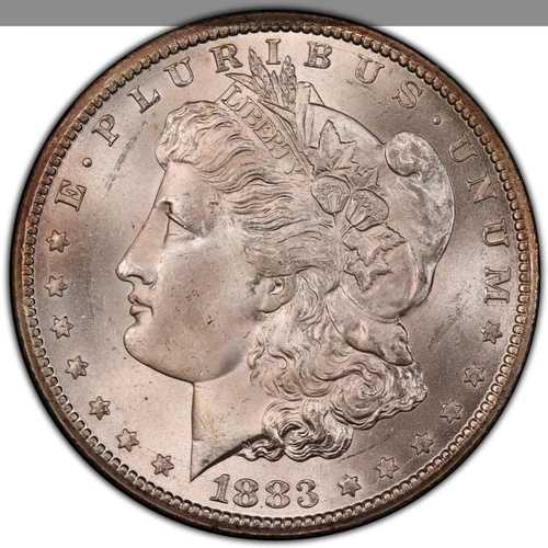 1883-CC モルガン銀貨 PCGS MS65 - - フロスティ＆ブラストホワイト
