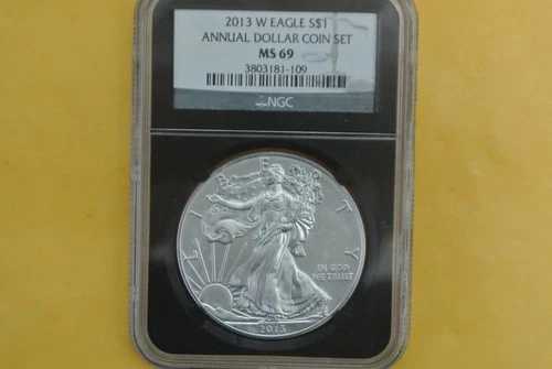 2013-W バーニッシュドシルバーイーグル NGC MS69 UNC (2013年アニュアルドルセット) - スポット