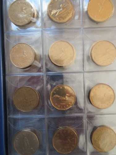 1987～2026年カナダルーニー硬貨セット。1ドル硬貨/年