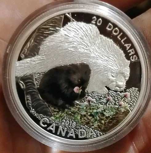 2016年カナダ1オンス純銀貨幣と切手セット、赤ちゃん動物：ヤマアラシ
