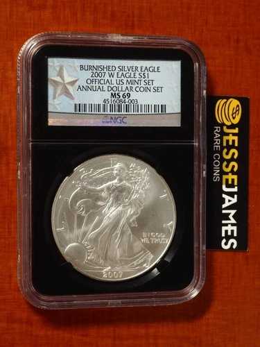 2007年 W バーニッシュド シルバー イーグル NGC MS69 年次ドルコインセット スターラベルより
