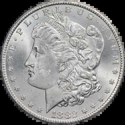 1882-CC GSA モルガン銀貨 NGC MS63 ブラストホワイト グレートアイアピール｜WORLD RESOURCE【QUEEN店】