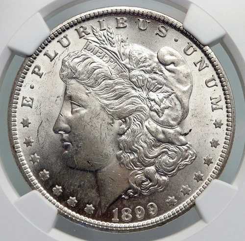 1899年 アメリカ合衆国 シルバー モルガン USドルコイン イーグル NGC i87447｜WORLD RESOURCE【QUEEN店】 164,450円