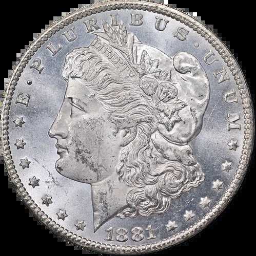 1881-CC GSA モルガン銀貨 NGC MS62 ブラストホワイトストロングストライク|WORLD RESOURCE【QUEEN店】