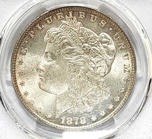 1878年 7TF 1879年モルガン・ダラーの裏面、PCGS MS64｜WORLD RESOURCE【QUEEN店】