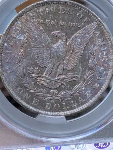 1882年 CC モルガン銀貨 MS-65 CAC カラー 裏面|WORLD RESOURCE【QUEEN店】