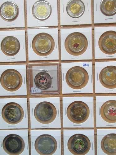 1996年から2024年までのカナダ2ドルトゥーニーコインセット。45枚のポーラーベアトゥーン$2
