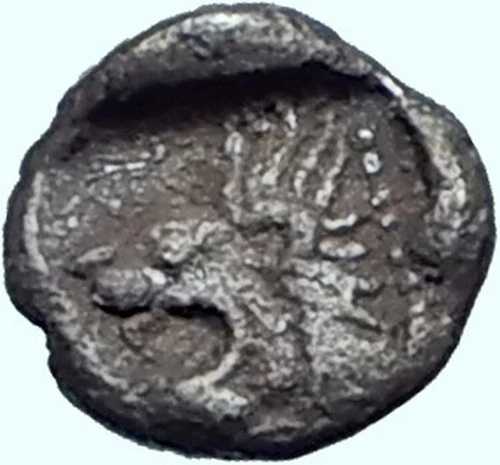 ミュシアのキジコス 紀元前525年 テタルテモリオン 猪 ライオン 古代ギリシャ銀貨 i41509|WORLD RESOURCE【QUEEN店】