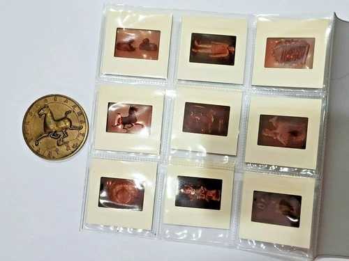 1973年 英国 中国博覧会 銅貨 写真ネガ収納セット付き