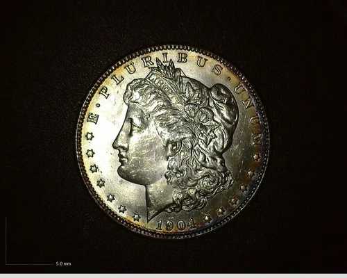 1904-O モルガン銀貨 1ドル $1.00 コインホルダー入り - 美しいコイン!! - (#3)