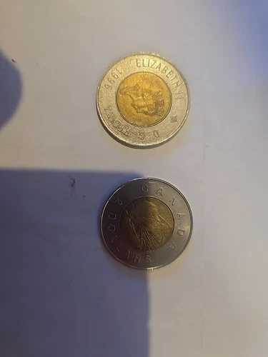300カナダドル硬貨 $$$$