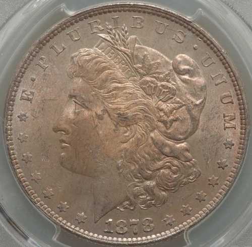 1878年 モルガン・ダラー 8TF VAM-4 PCGS MS63 反射面に繊細な色彩