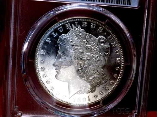 モーガン シルバー ドル 1891 PCGS MS 63 オフグレード PL ガラス製カメオ 希少!!｜WORLD RESOURCE【QUEEN店】
