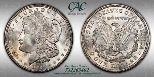 1921-D モルガン銀貨 CACグレーディング (CACG) MS 65｜WORLD RESOURCE【QUEEN店】