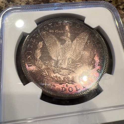 1881年 S モルガン銀貨 MS 64 CAC モンスタートナー パープルラスタートーニング