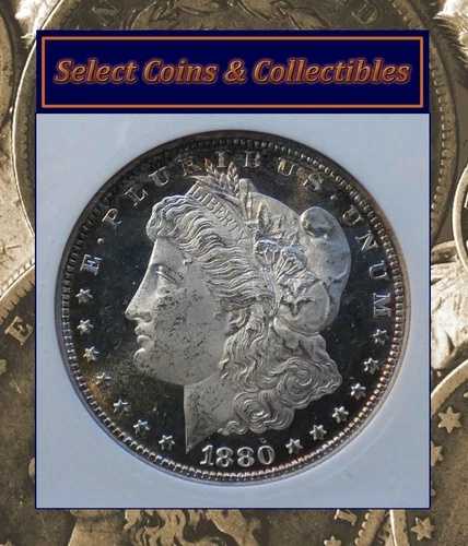 1880-S BU CAMEO モーガン銀貨 ANACS MS 64 DMPL カラーエッジトーニング！ #1053