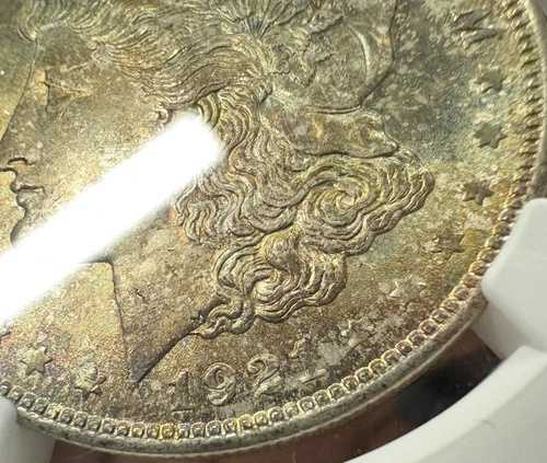 1921年 トーン加工 モルガン銀貨 NGC MS 66 (003)｜WORLD RESOURCE【QUEEN店】