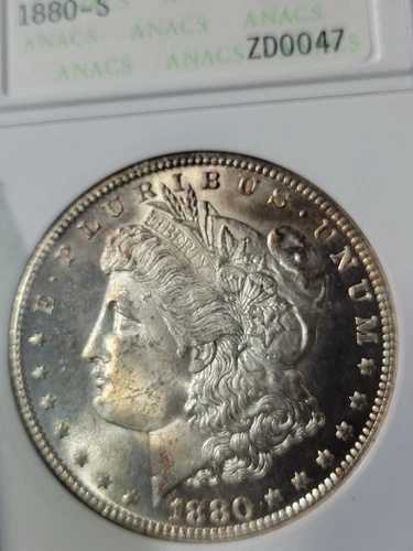 1880年代、1881年代、18850年代 1ドルモルガン（3枚セット）MS64 ANACS ソープボックス トーン｜WORLD RESOURCE【QUEEN店】