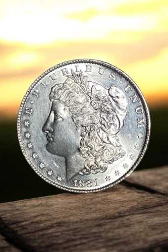 1881-S モルガン銀貨 約未使用 プルーフ状|WORLD RESOURCE【QUEEN店】