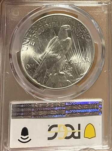 1925年 PCGS MS66 ピースシルバードル｜WORLD RESOURCE【QUEEN店】