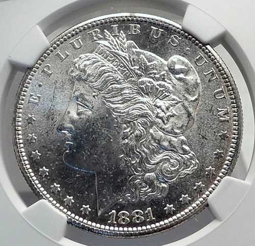 1881年 アメリカ合衆国 銀製 モルガン USドルコイン イーグル NGC MS i79853