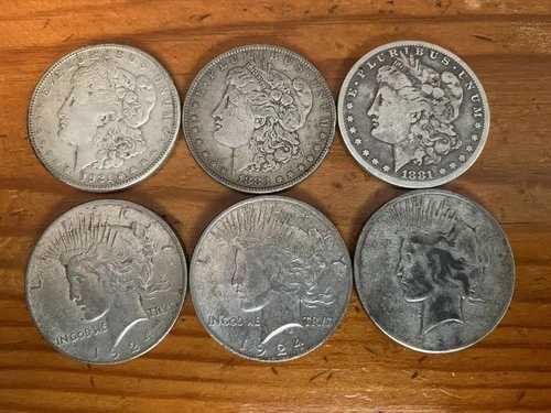 モルガン銀貨6枚セット - 1881年、1883年、1921年、1922年、1924年、1924年