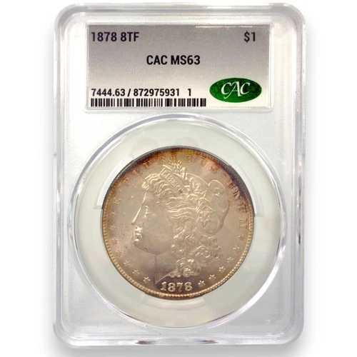 1878年認定 8TF 米国モルガン銀貨|WORLD RESOURCE【QUEEN店】