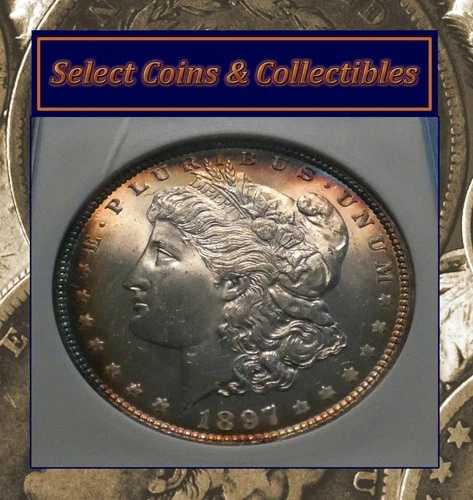 1897年モルガン銀貨 - ANACS MS 65 輝く虹色の宝石!#1192|WORLD RESOURCE【QUEEN店】
