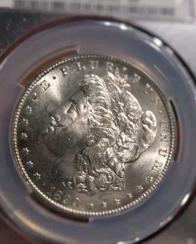 チョイス 1899-O モーガン シルバー ダラー MS-62 \