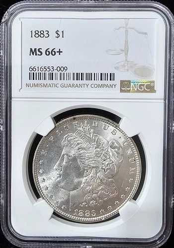 1883年 モルガン・ダラー MS-66+ NGCビデオ