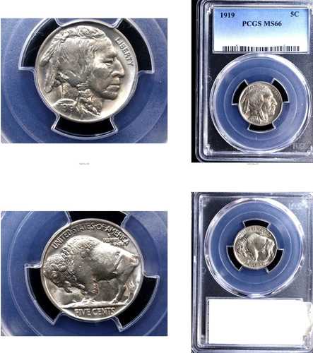 1919 5C MS66 PCGS- バッファローニッケル---