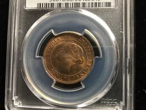1900年 PCGS 認定カナダ製大型1セント硬貨、**MS-65** 790,680円
