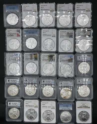 ASE $1 アメリカン シルバー イーグル .999 ロット 合計 25 NGC/PCGS/ICG オールイン写真 ロット #2