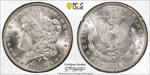 1882年 CC カーソンシティ PCGS MS66 - GSA ホード シルバー モルガンドル 1ドル US コイン 56433V｜WORLD RESOURCE【QUEEN店】 361,350円