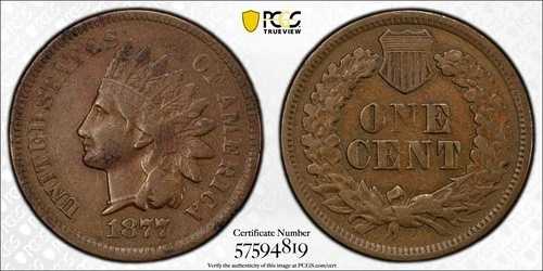 米国、1877年インディアンヘッドセント - VF詳細（非常に軽い傷あり）PGCS認定｜WORLD RESOURCE【QUEEN店】