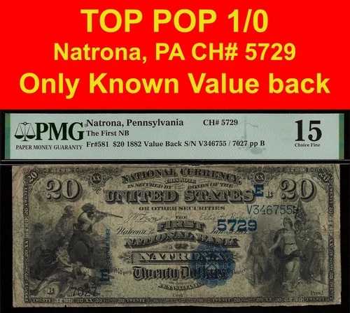 1882年 20ドル ナショナルバンク ナトロナ、ペンシルベニア州、CH# 5729 - PMG 15 トップポップ 1/0 - 1枚のみ知られている