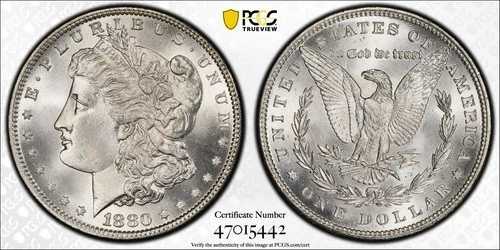 1880年 P モルガン銀貨 $1 PCGS MS 66｜WORLD RESOURCE【QUEEN店】